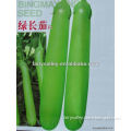 High Quality Good Taste Green Long Eggplant Seeds For Planting
